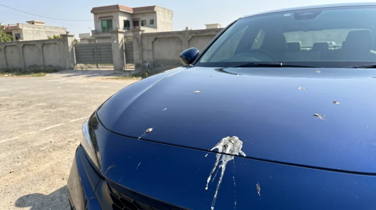 How to Remove Bird Droppings From Car Paint Safely