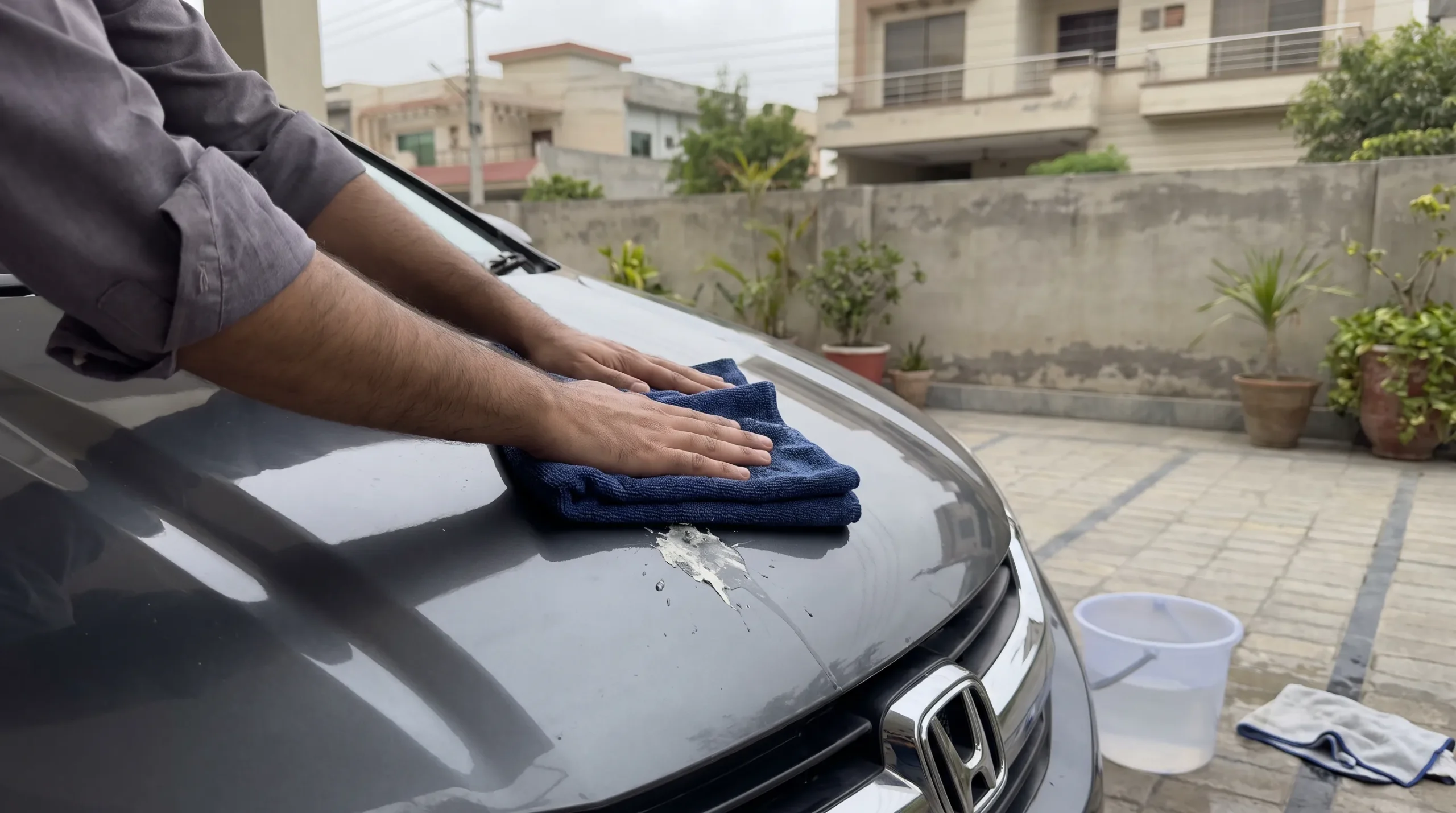 Soaking dried bird droppings with a wet microfiber towel